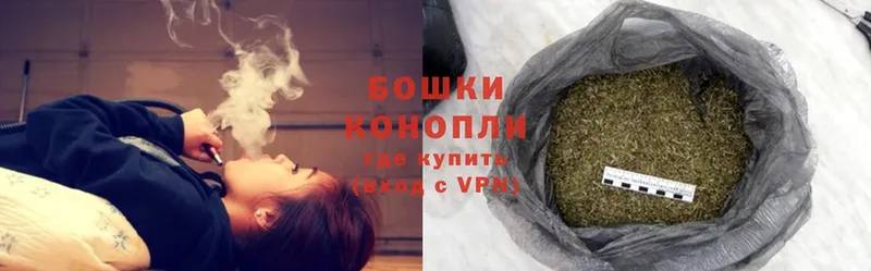 Марихуана OG Kush  Мураши 